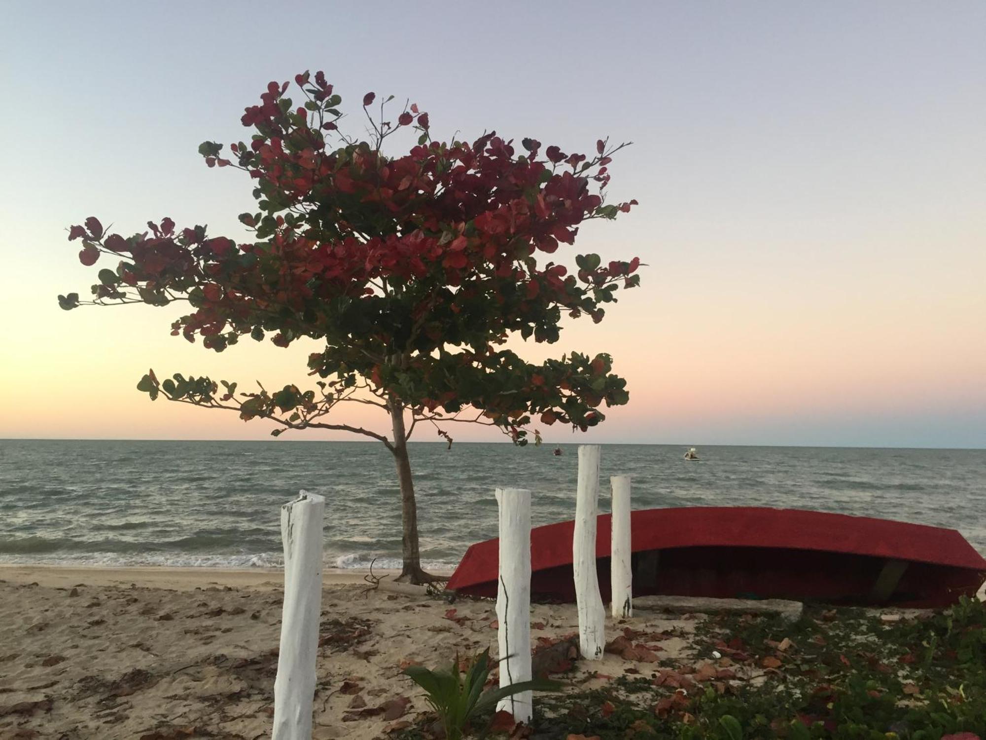Chales Mata Da Praia Corumbau Exteriér fotografie